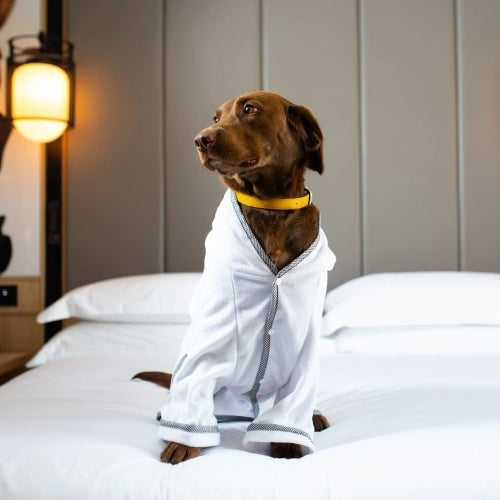Dog Towelling Bath Robe
