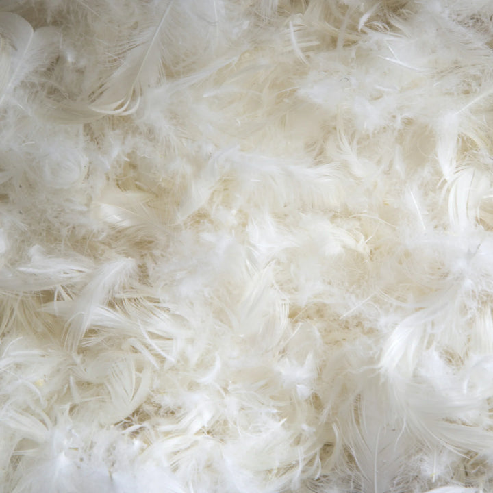 Tielle Savoy Feather and Down Duvet