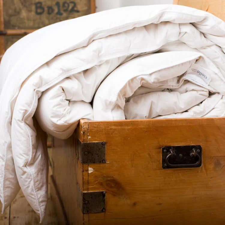 Tielle Savoy Feather and Down Duvet