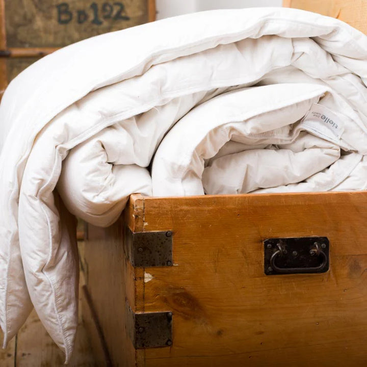 Tielle Savoy Feather and Down Duvet