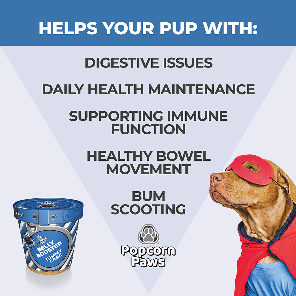 Popcorn Paws Mixed Case – Functional Dog Treats (16 x 120g Tubs)