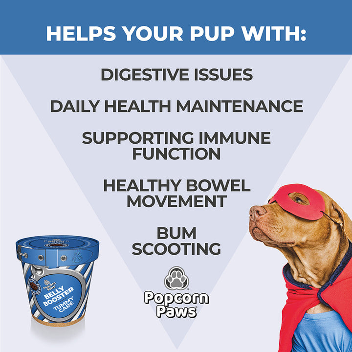 Popcorn Paws Mixed Case – Functional Dog Treats (16 x 120g Tubs)