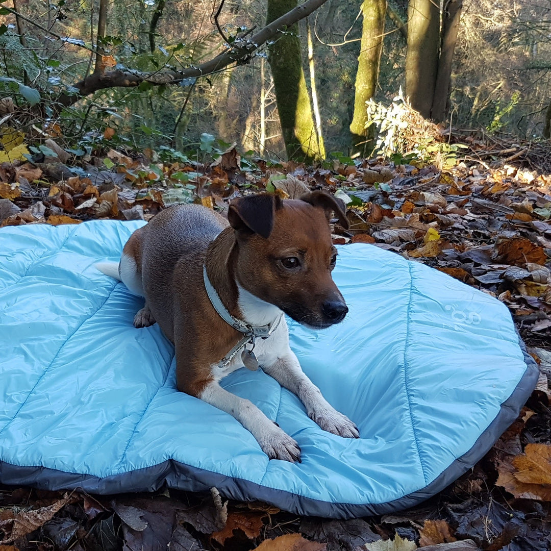 Alpine Travel Snuggle Bed