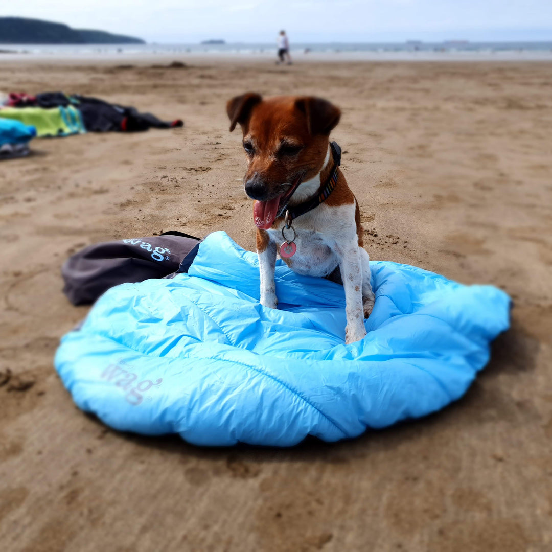 Alpine Travel Snuggle Bed