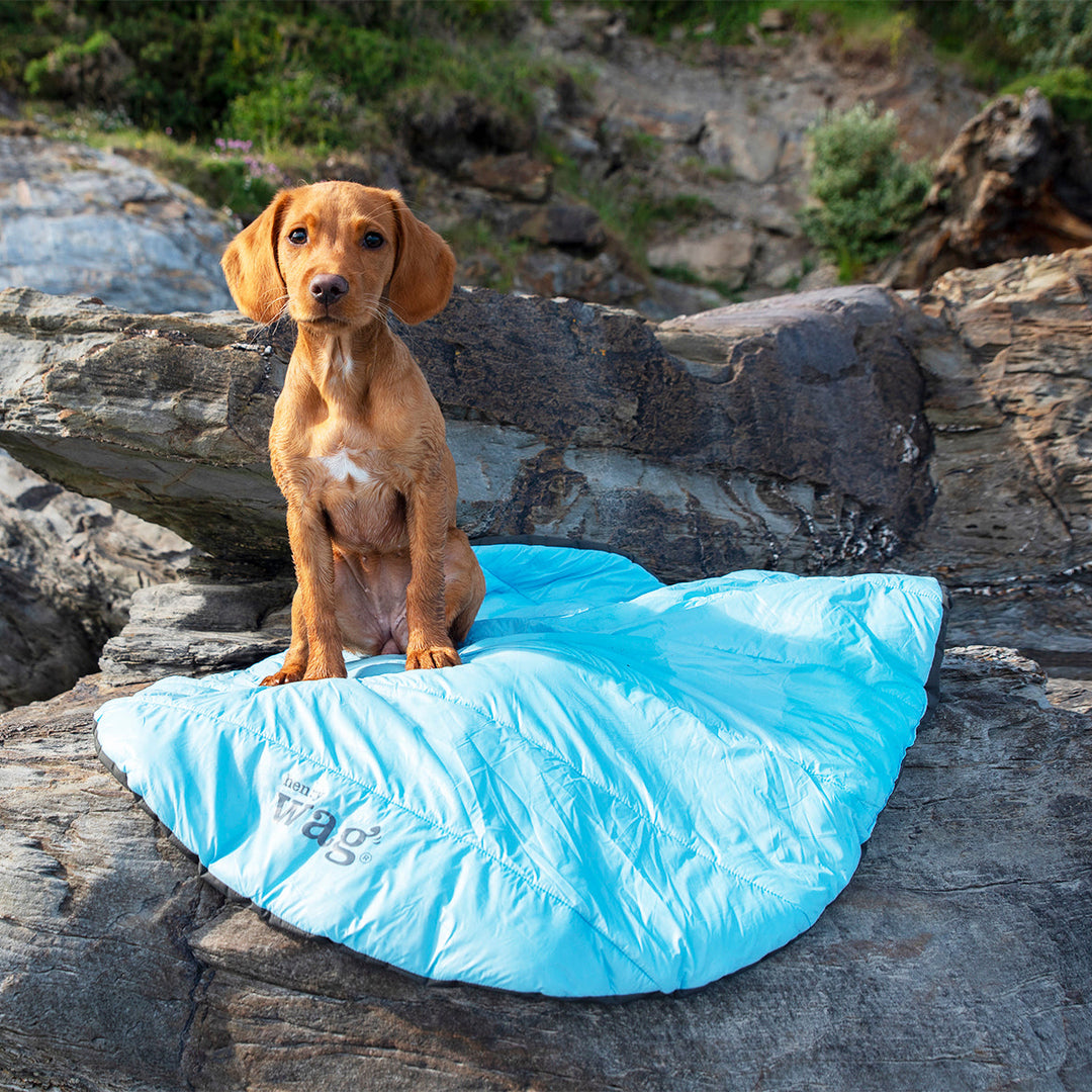 Alpine Travel Snuggle Bed