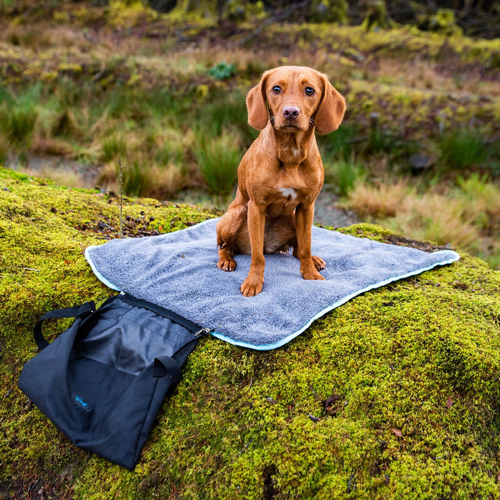 Easy-Roll Travel Pet Bed
