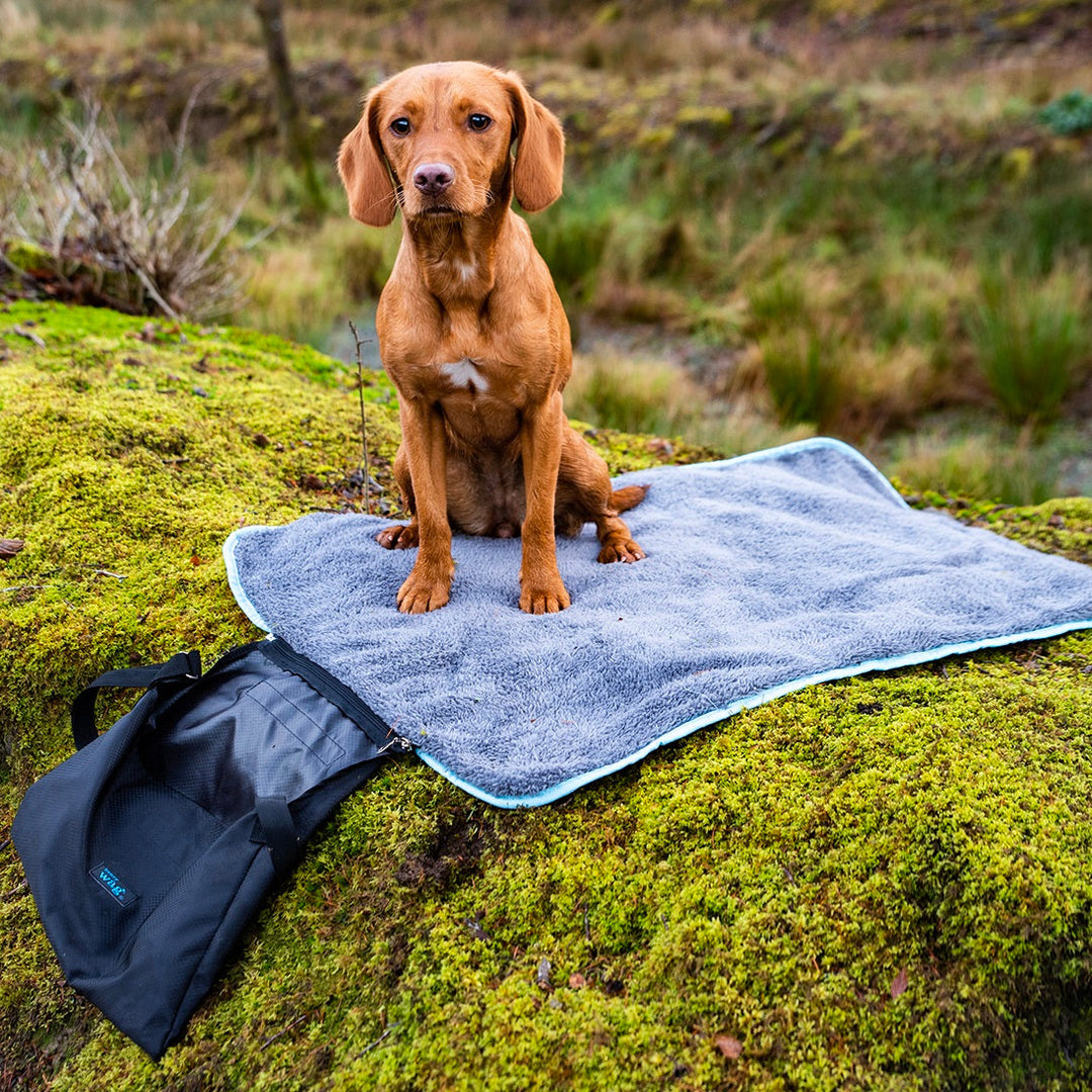 Easy-Roll Travel Pet Bed