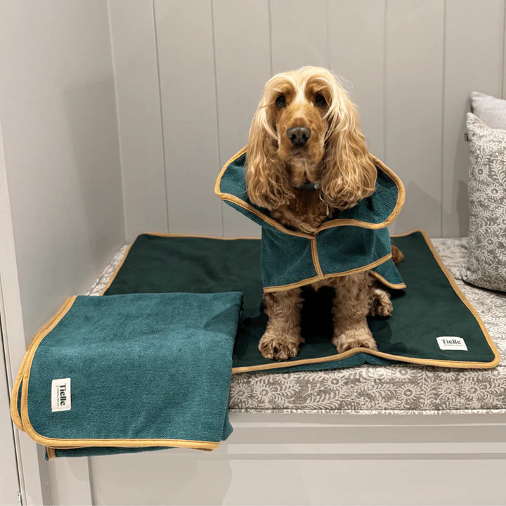 The Dog Haus - Forest Green Dog Robe, Towel and Mat Bundle