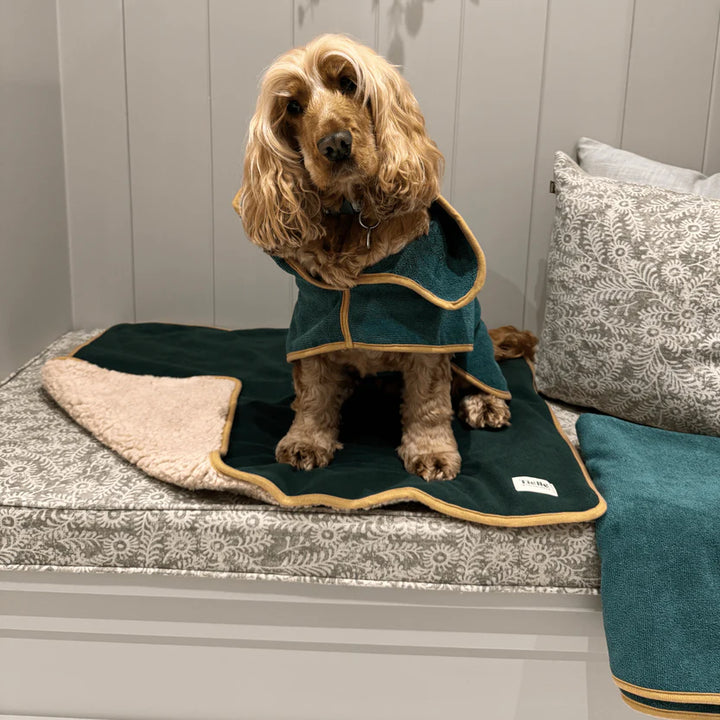 The Dog Haus - Forest Green Dog Robe, Towel and Mat Bundle