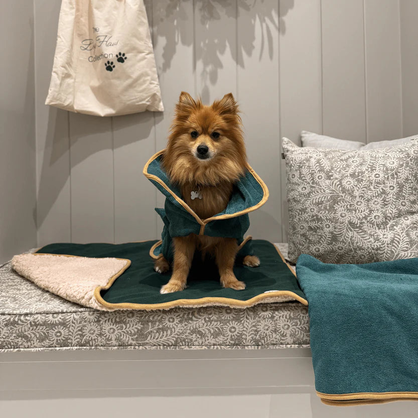 The Dog Haus - Forest Green Dog Robe, Towel and Mat Bundle