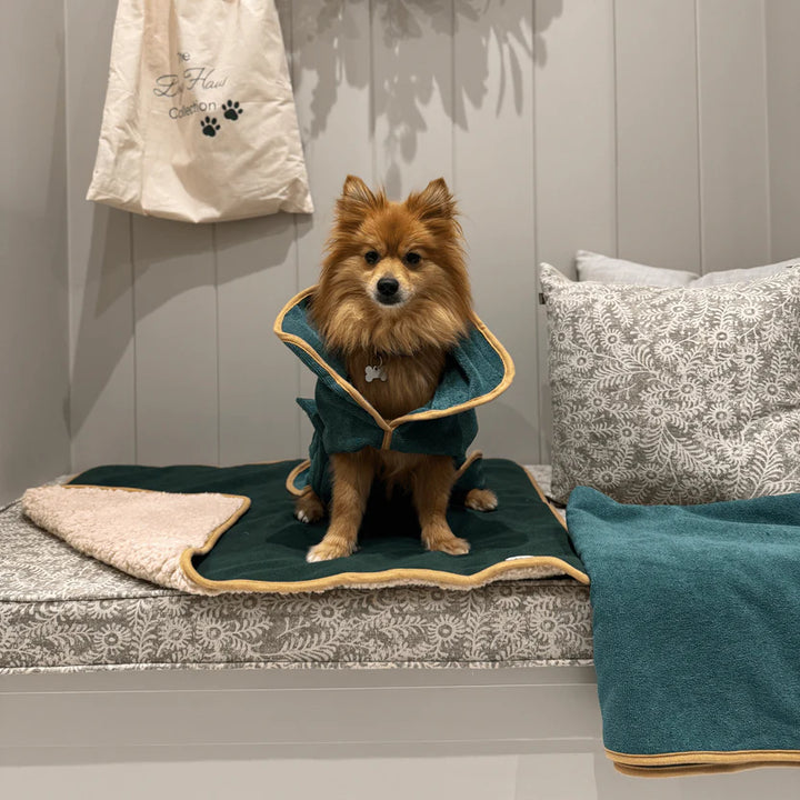 The Dog Haus - Forest Green Dog Robe, Towel and Mat Bundle