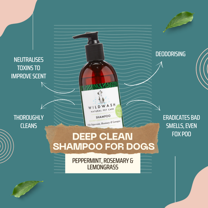 WILDWASH Deep Clean Dog Shampoo - 12 x 300ml