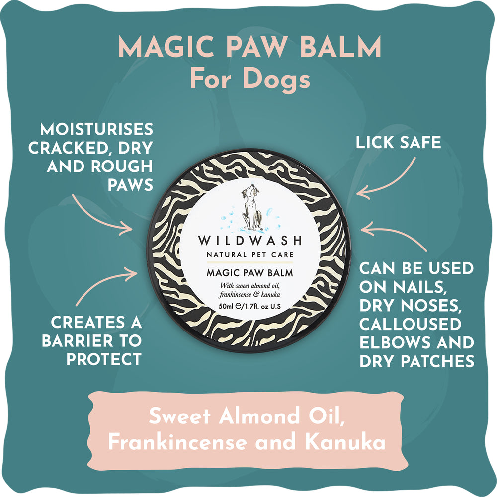 Promotional graphic for Wild Wash Magic Paw Balm for dogs on a teal background